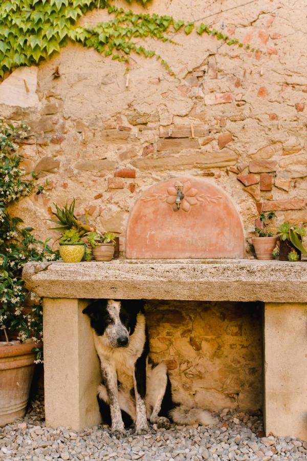 Agriturismo Il Rigo San Quirico dʼOrcia Εξωτερικό φωτογραφία